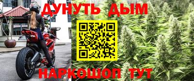 молекула духа Кулебаки