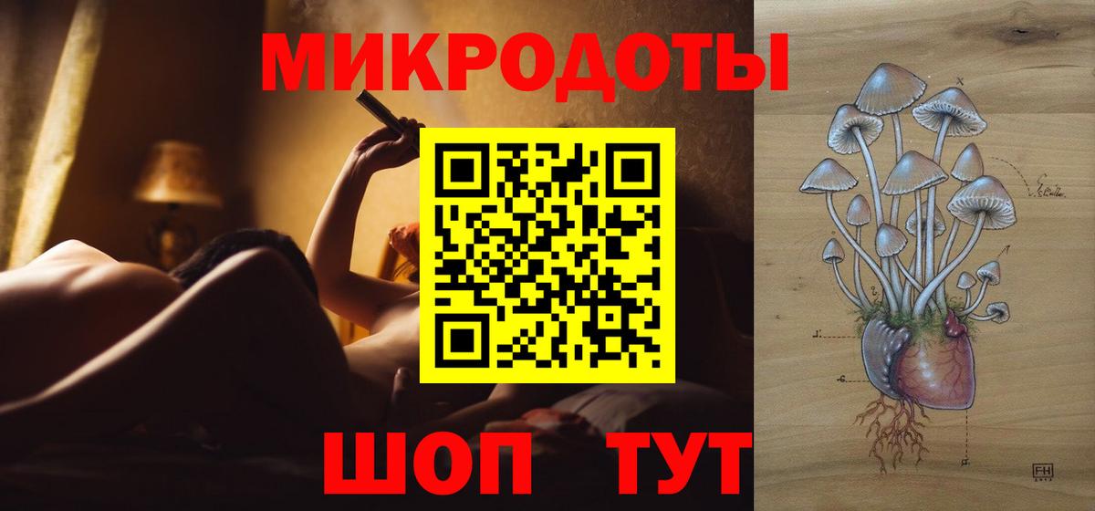 Галлюциногенные грибы Psilocybine cubensis Аксай