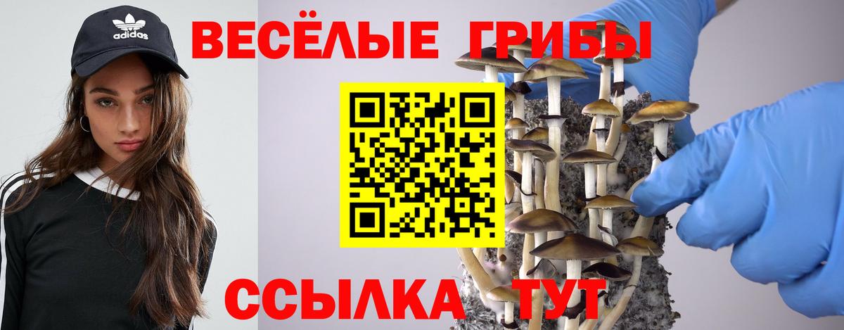 Псилоцибиновые грибы GOLDEN TEACHER  Вход с VPN  Аксай  Галлюциногенные грибы Magic Shrooms 